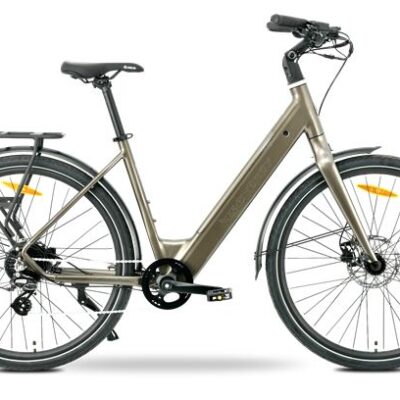 MS ENERGY eBike Zorya bronze_REG