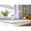 BLANCO WEGA II silgranit look